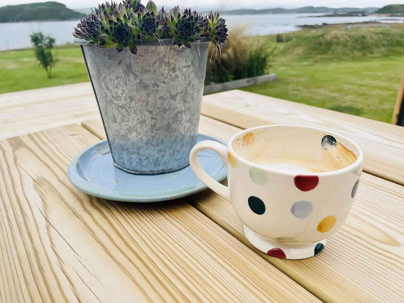 Coffee mug on table outside beside potted plant