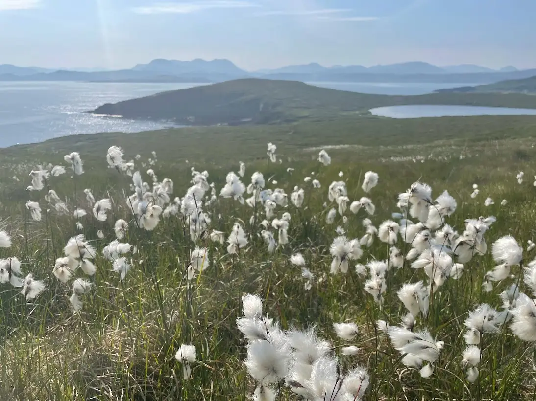 11 easy hikes from Bliss haus