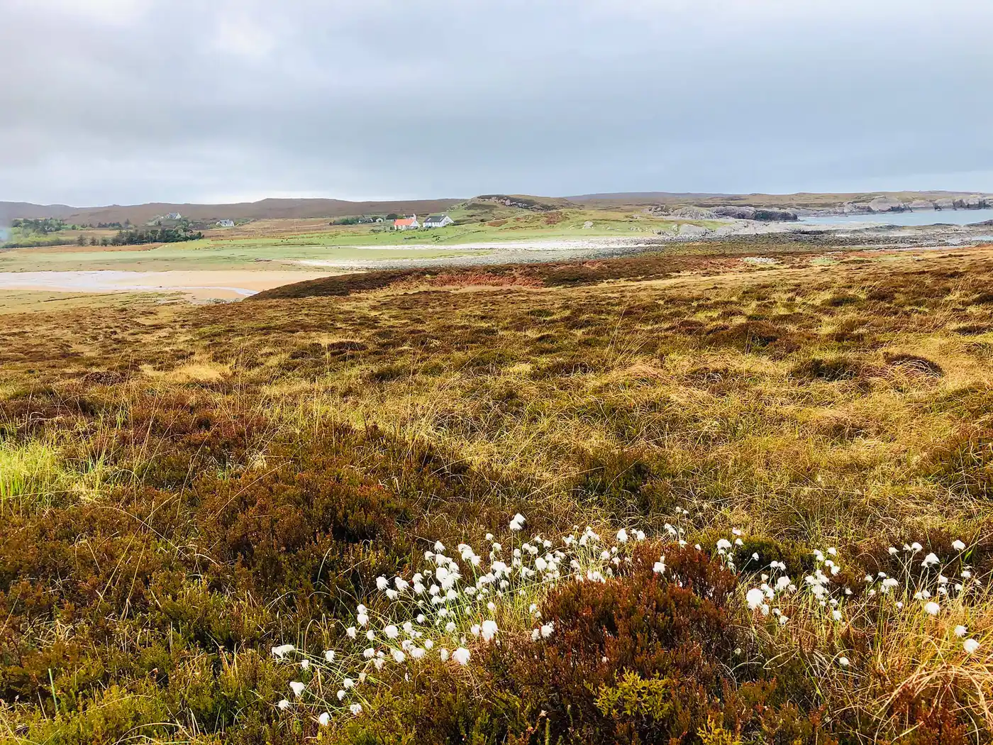 A bio what? The definitive guide to Wester Ross UNESCO Biosphere